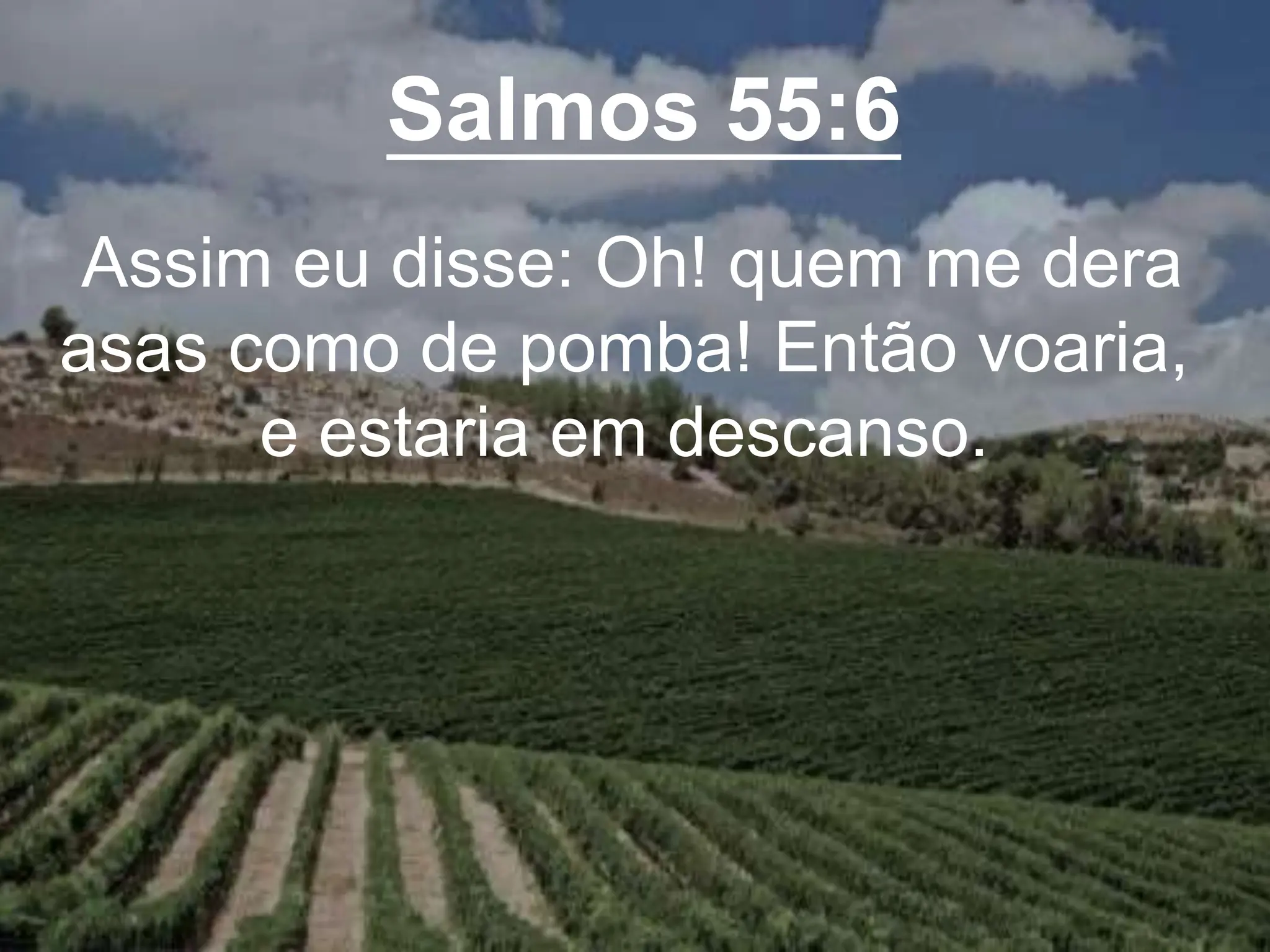 Salmos 55:6
Assim eu disse: Oh! quem me dera
asas como de pomba! Então voaria,
e estaria em descanso.
 