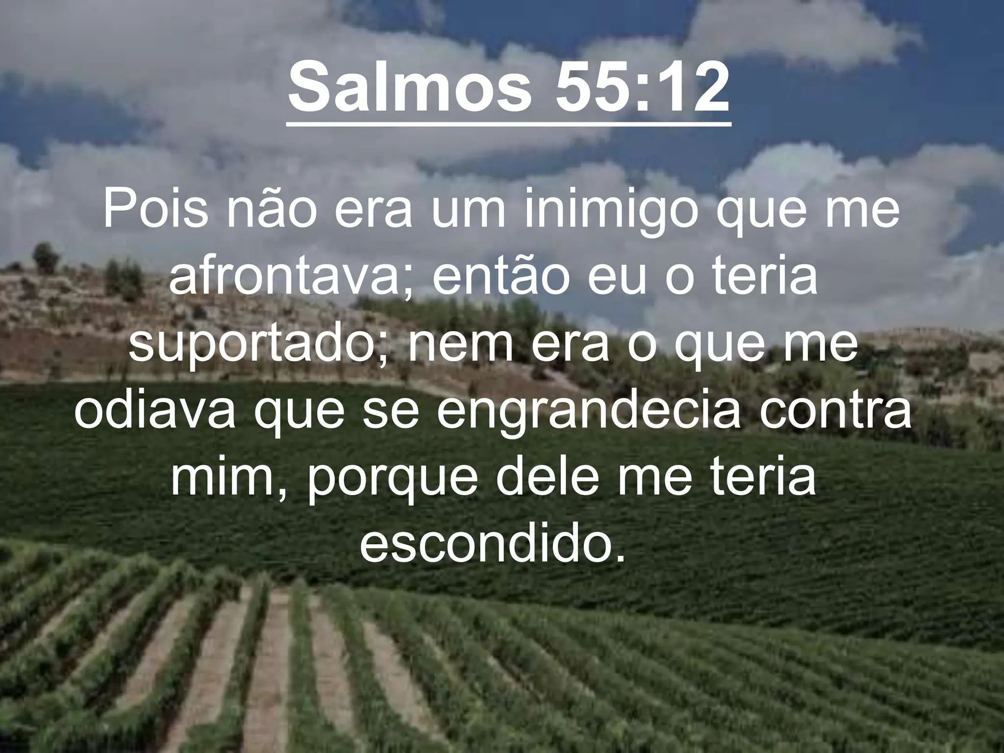 Salmos 55:12
Pois não era um inimigo que me
afrontava; então eu o teria
suportado; nem era o que me
odiava que se engrandecia contra
mim, porque dele me teria
escondido.
 