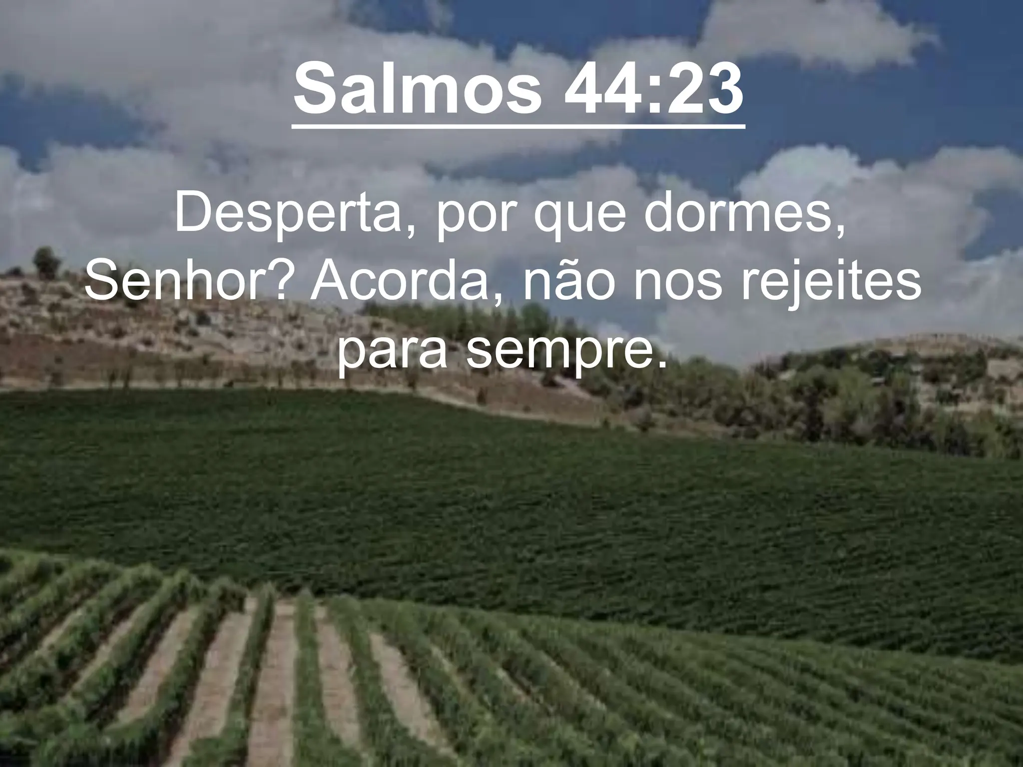 Salmos 44:23
Desperta, por que dormes,
Senhor? Acorda, não nos rejeites
para sempre.
 