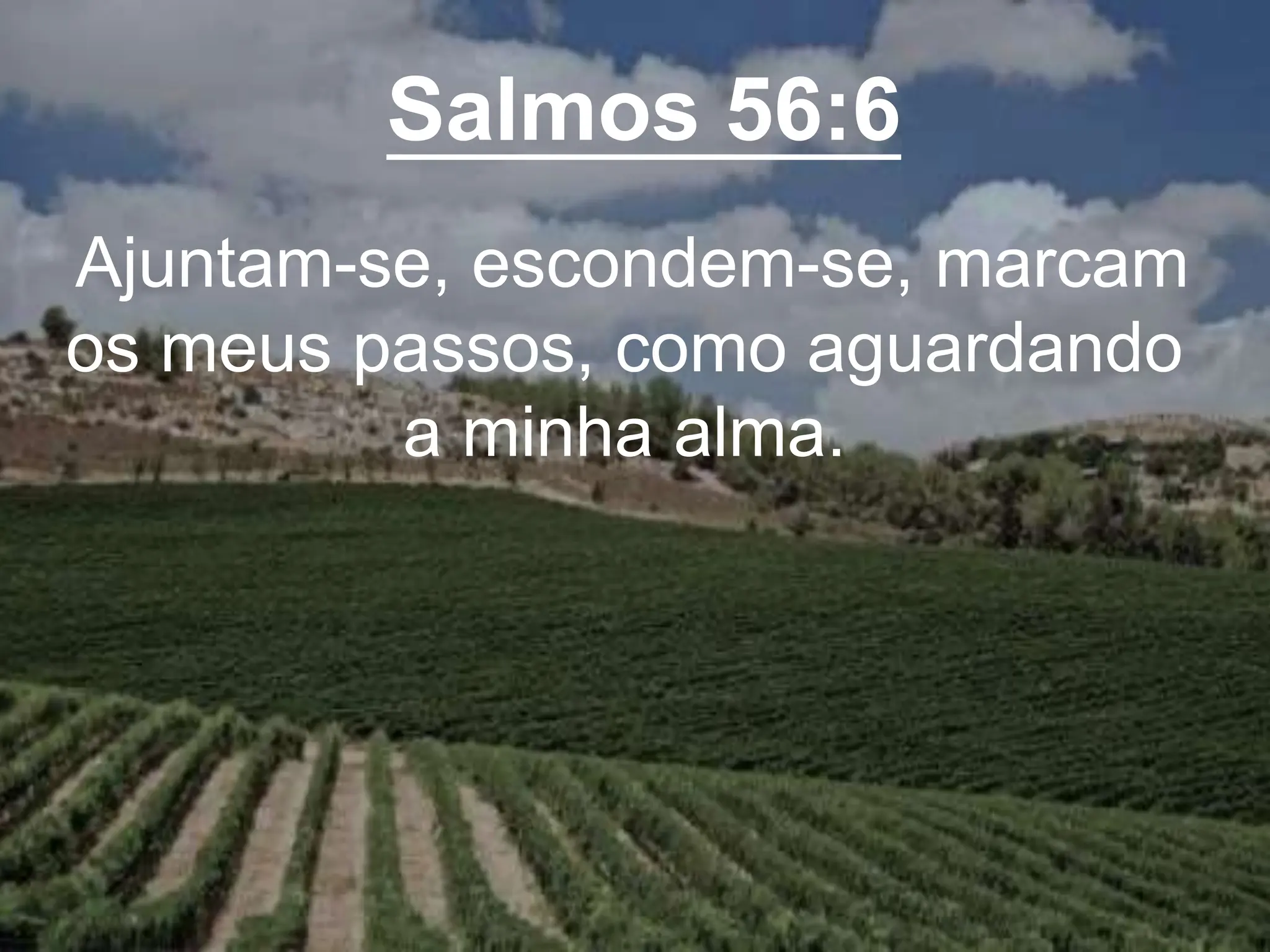 Salmos 56:6
Ajuntam-se, escondem-se, marcam
os meus passos, como aguardando
a minha alma.
 