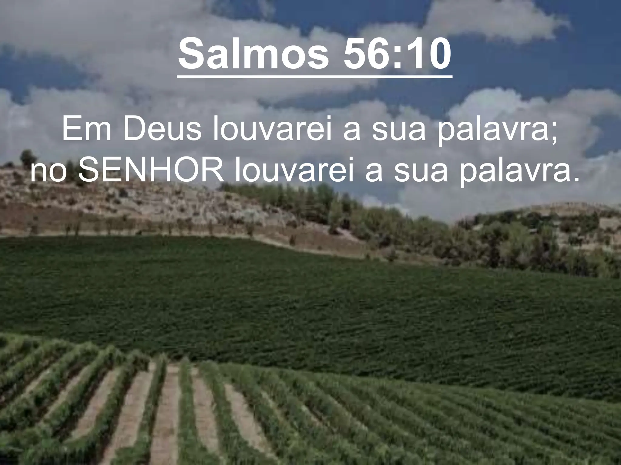 Salmos 56:10
Em Deus louvarei a sua palavra;
no SENHOR louvarei a sua palavra.
 