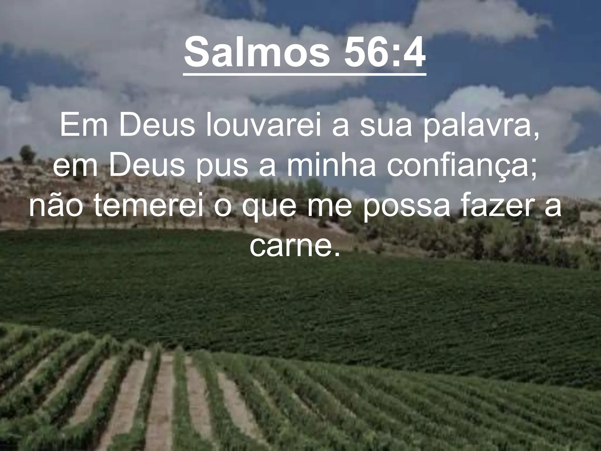 Salmos 56:4
Em Deus louvarei a sua palavra,
em Deus pus a minha confiança;
não temerei o que me possa fazer a
carne.
 