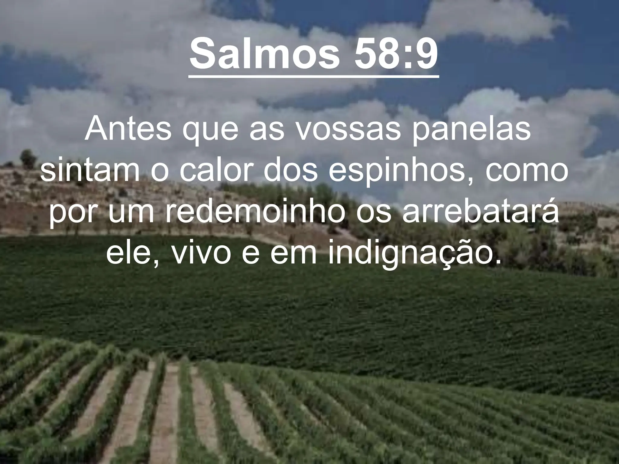 Salmos 58:9
Antes que as vossas panelas
sintam o calor dos espinhos, como
por um redemoinho os arrebatará
ele, vivo e em indignação.
 