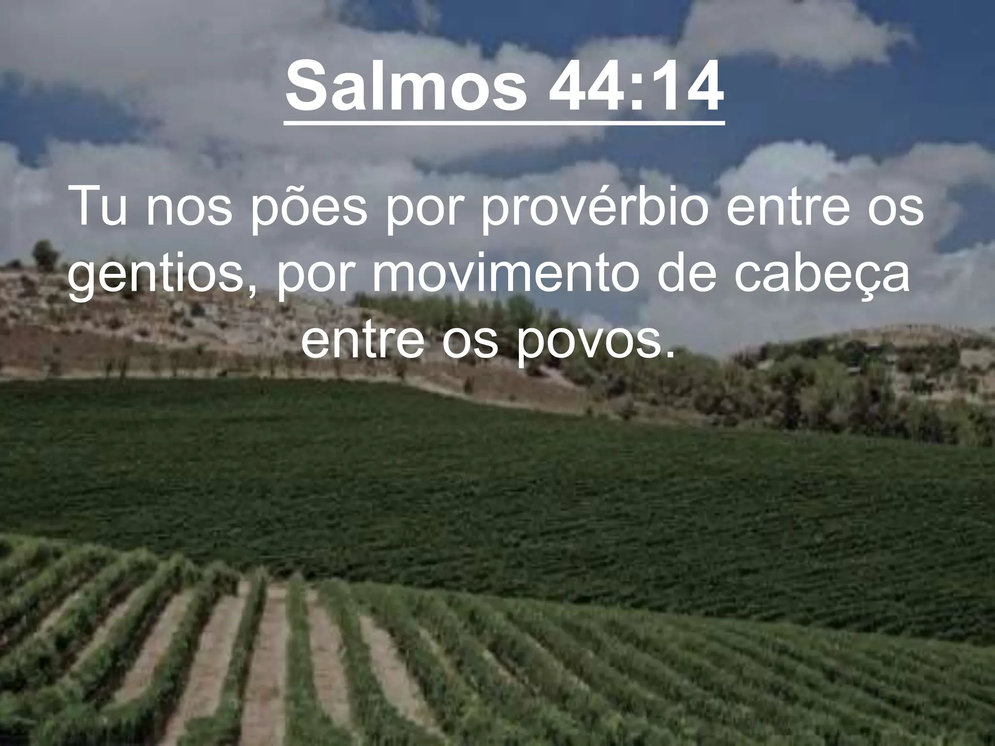 Salmos 44:14
Tu nos pões por provérbio entre os
gentios, por movimento de cabeça
entre os povos.
 