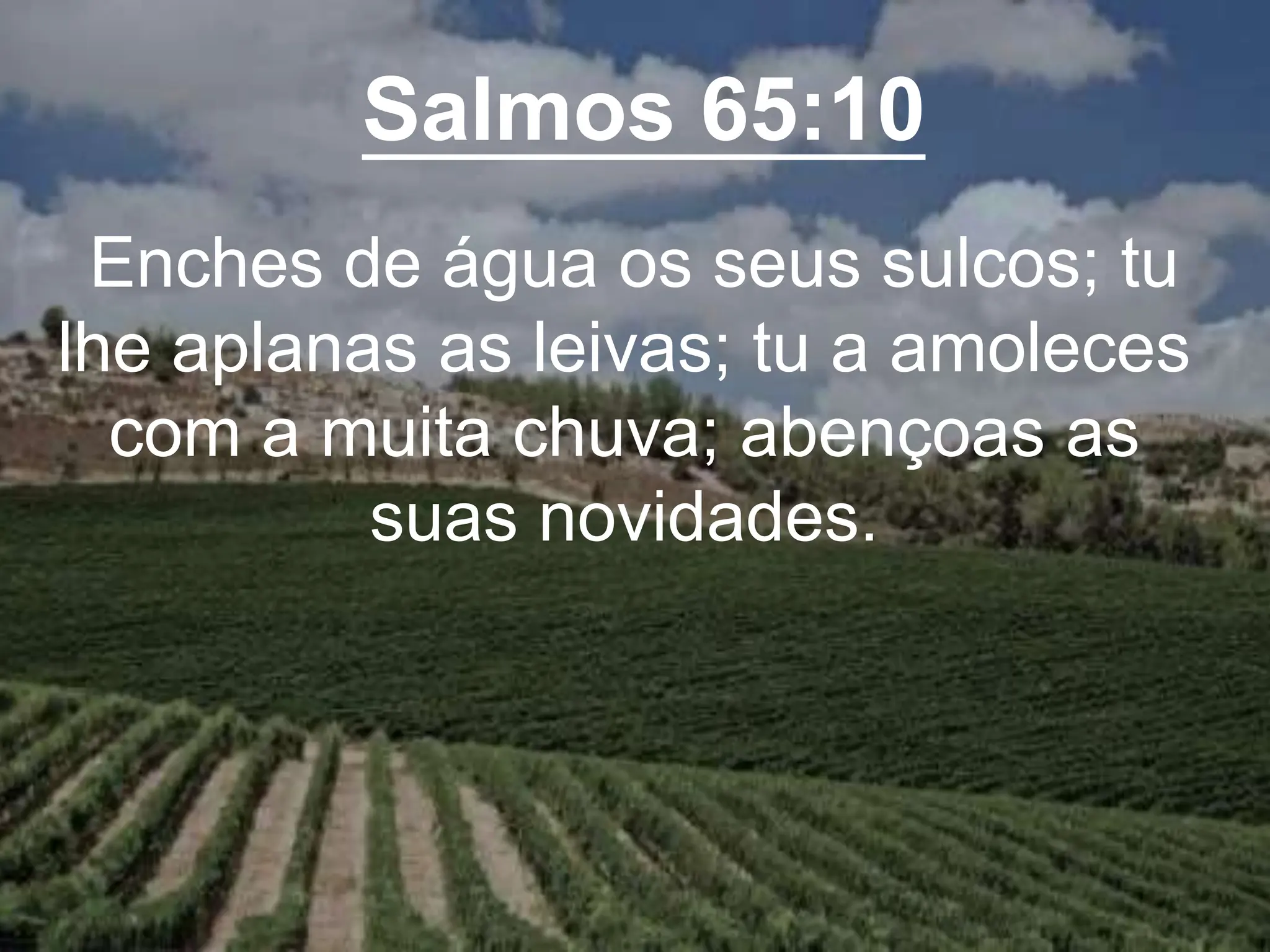 Salmos 65:10
Enches de água os seus sulcos; tu
lhe aplanas as leivas; tu a amoleces
com a muita chuva; abençoas as
suas novidades.
 