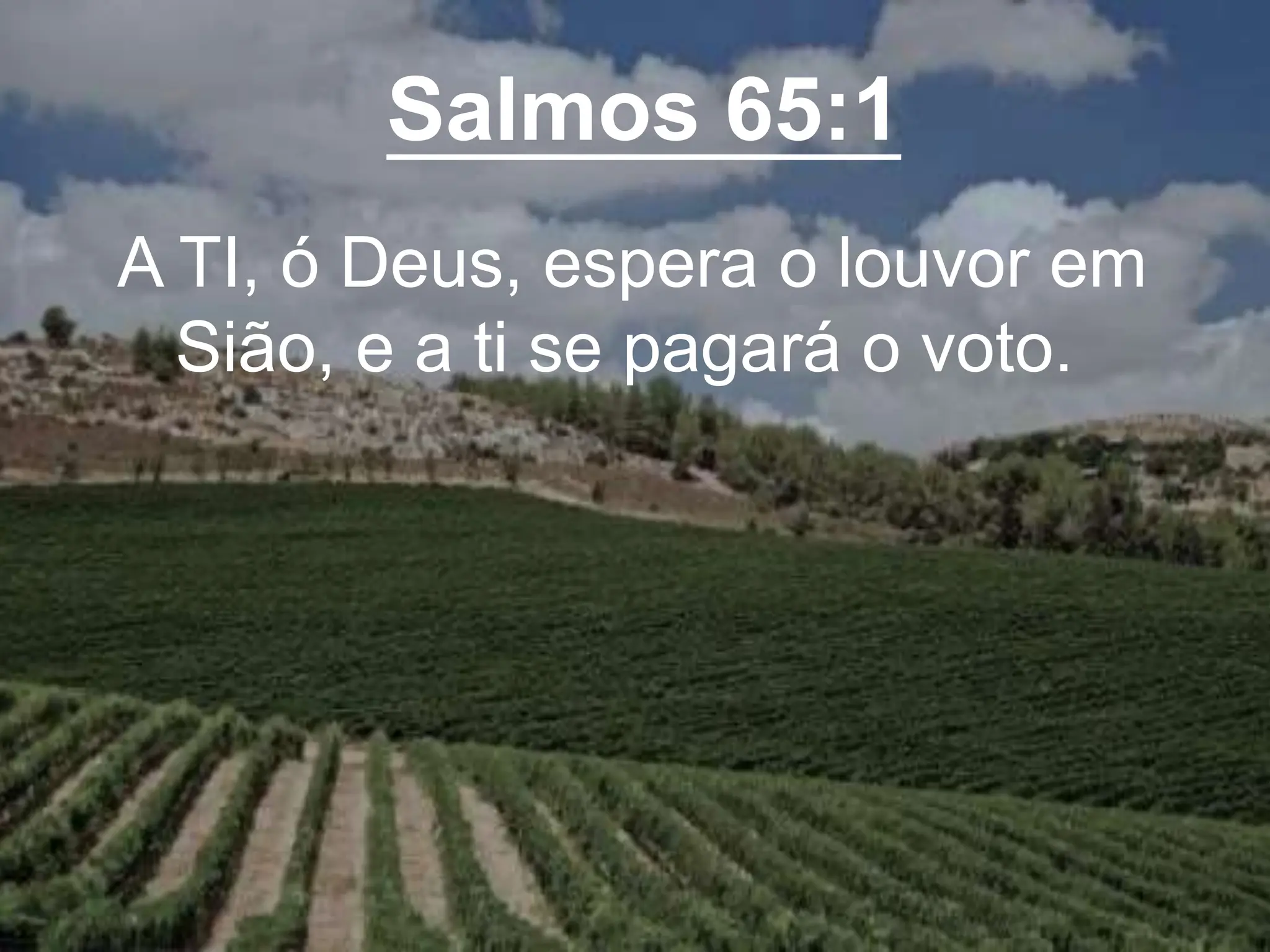 Salmos 65:1
A TI, ó Deus, espera o louvor em
Sião, e a ti se pagará o voto.
 