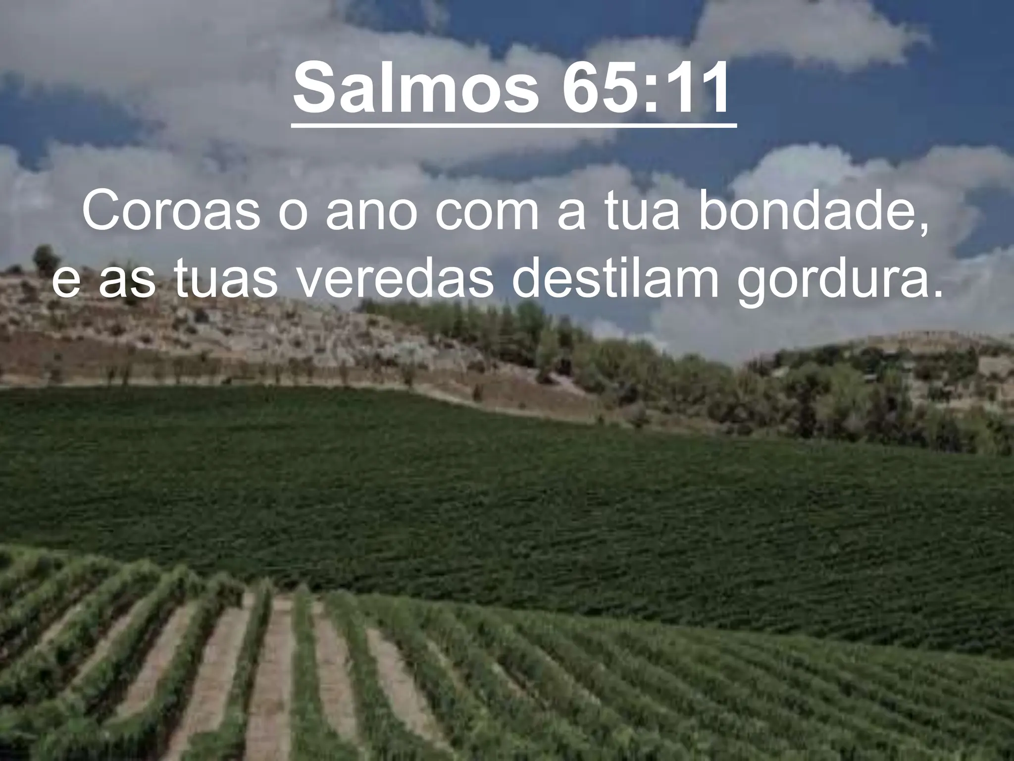 Salmos 65:11
Coroas o ano com a tua bondade,
e as tuas veredas destilam gordura.
 