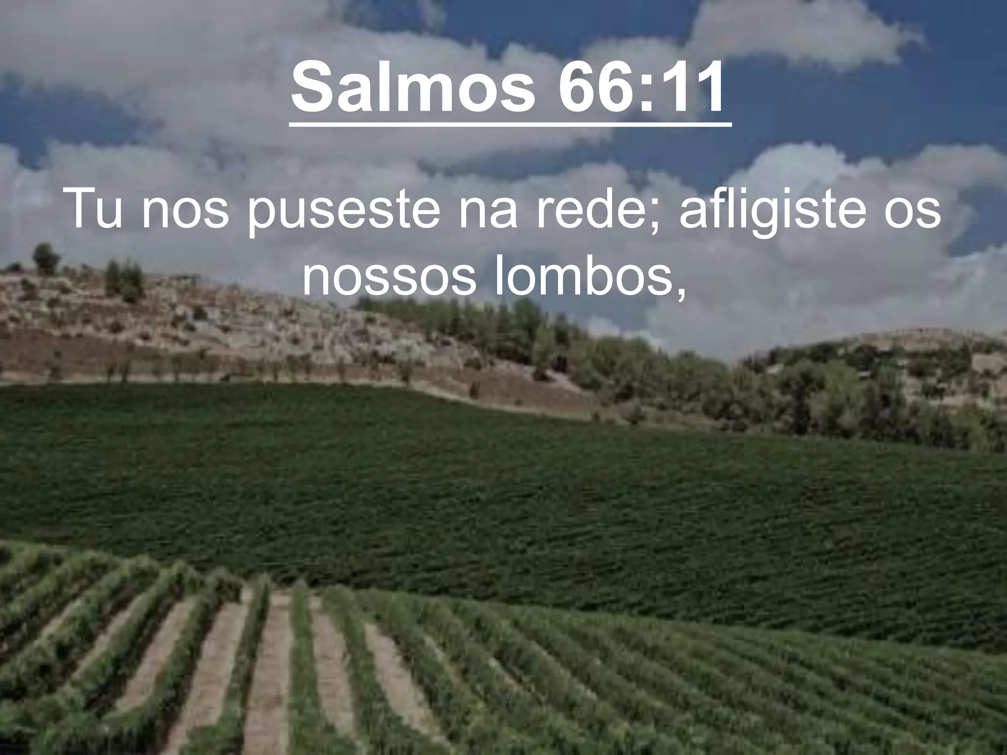 Salmos 66:11
Tu nos puseste na rede; afligiste os
nossos lombos,
 