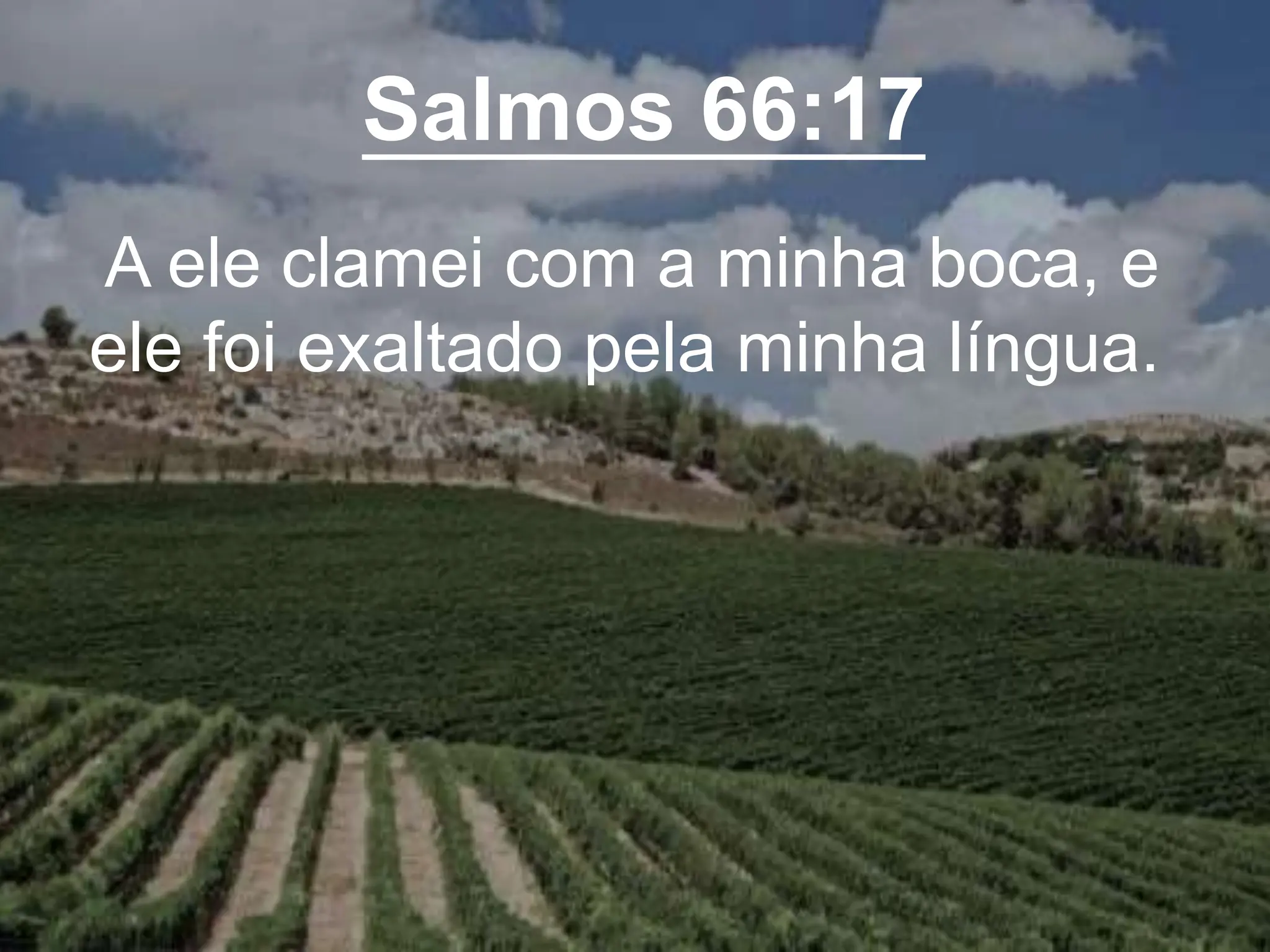 Salmos 66:17
A ele clamei com a minha boca, e
ele foi exaltado pela minha língua.
 