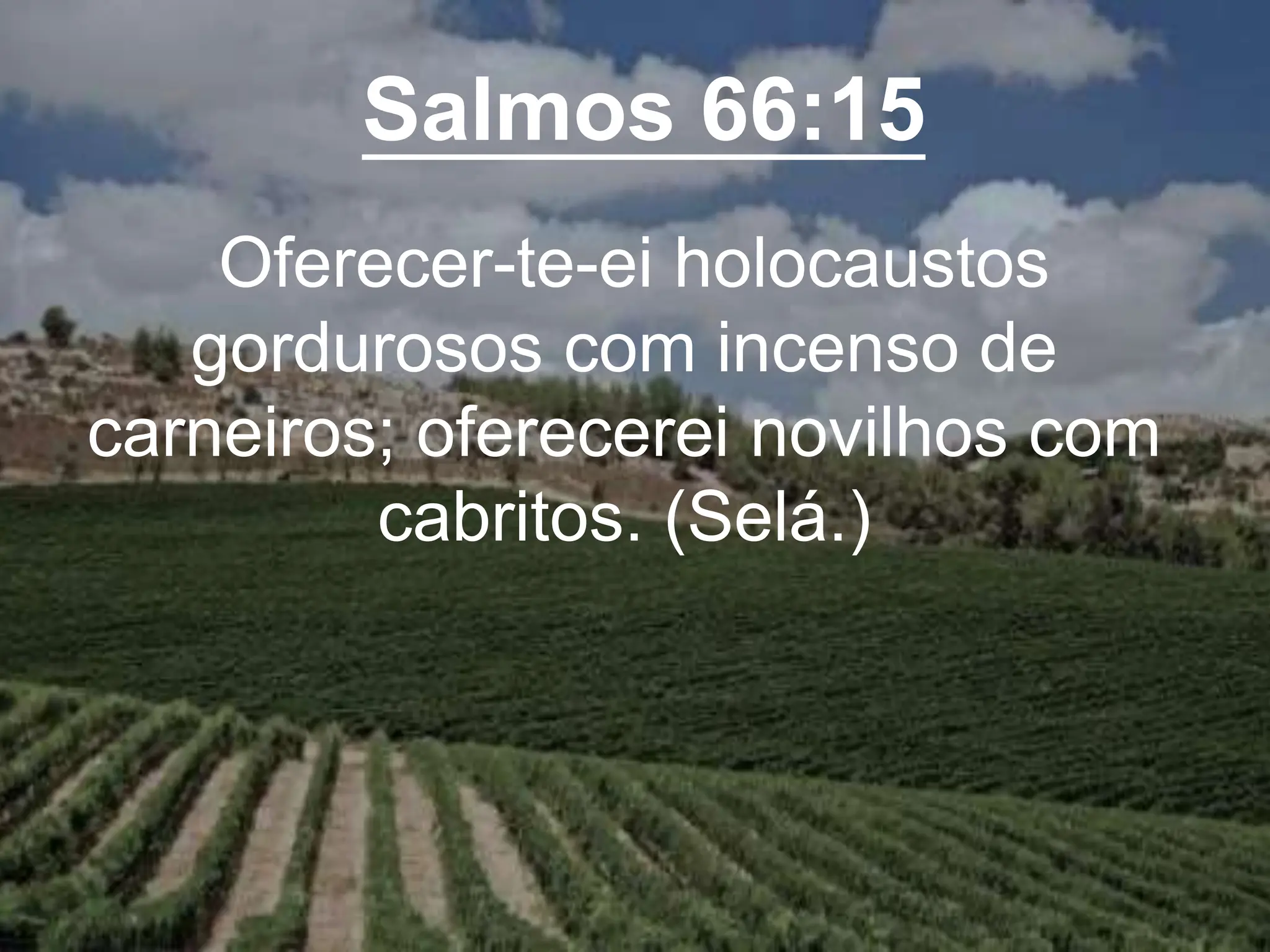 Salmos 66:15
Oferecer-te-ei holocaustos
gordurosos com incenso de
carneiros; oferecerei novilhos com
cabritos. (Selá.)
 