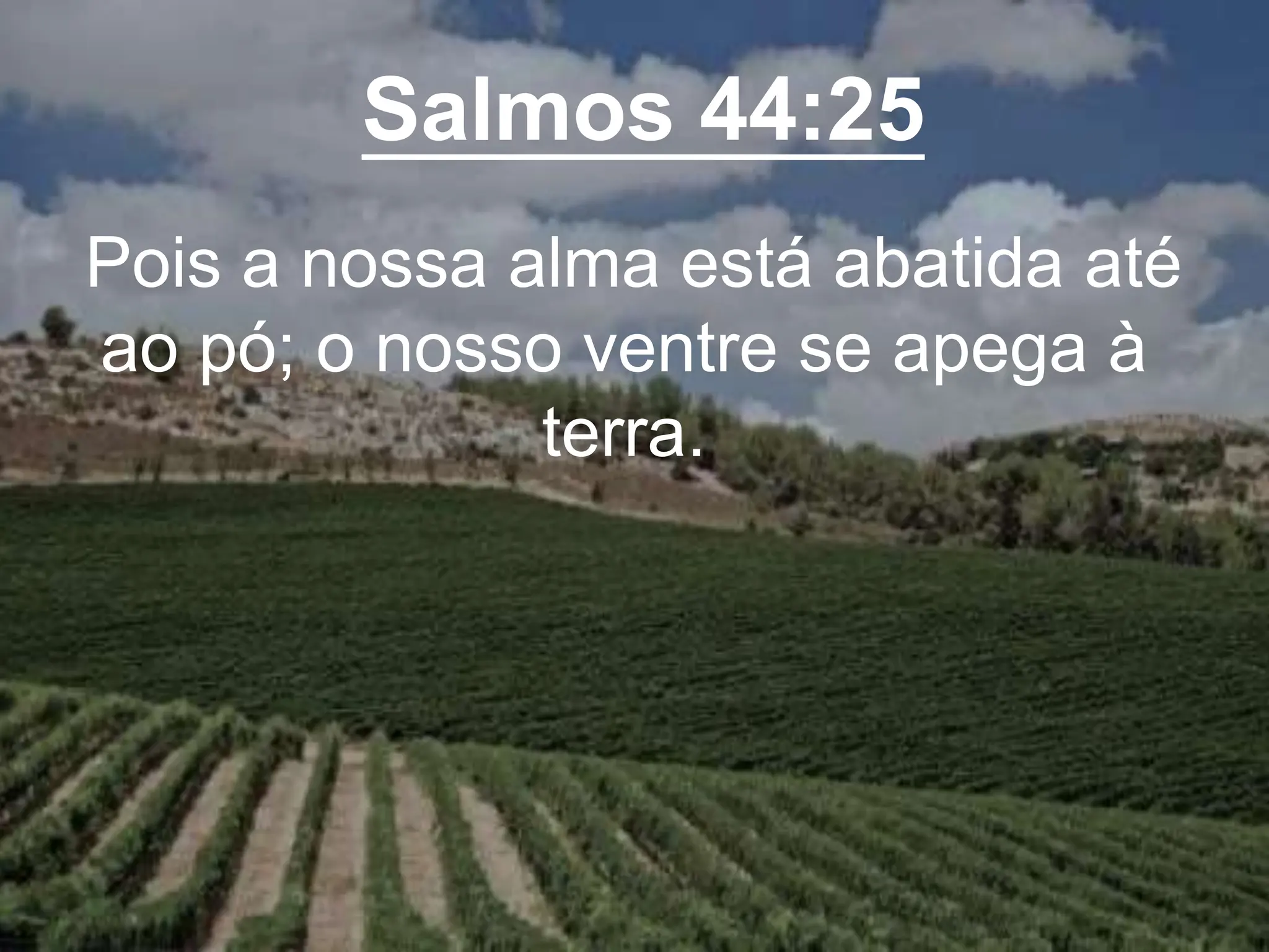 Salmos 44:25
Pois a nossa alma está abatida até
ao pó; o nosso ventre se apega à
terra.
 
