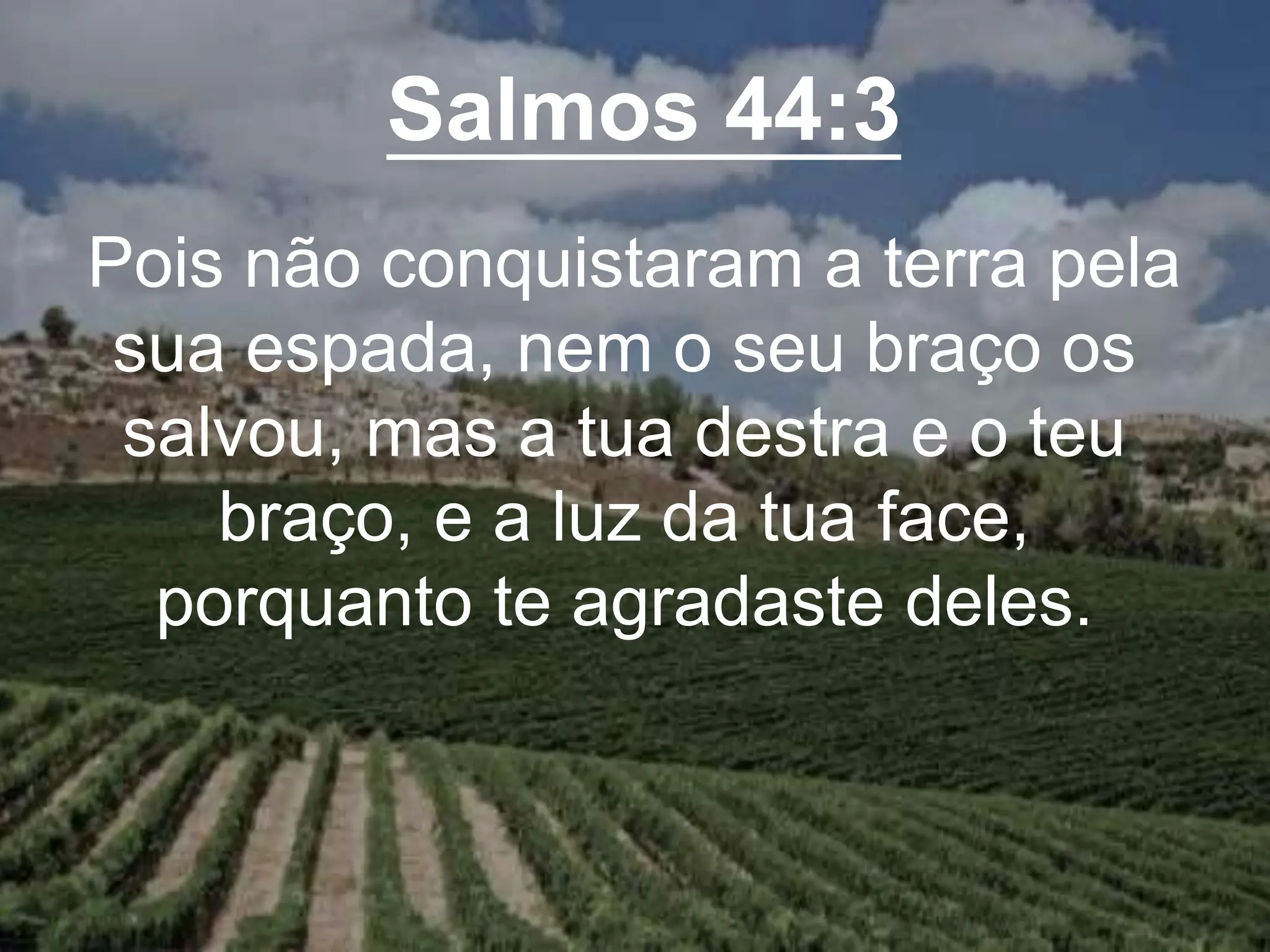 Salmos 44:3
Pois não conquistaram a terra pela
sua espada, nem o seu braço os
salvou, mas a tua destra e o teu
braço, e a luz da tua face,
porquanto te agradaste deles.
 