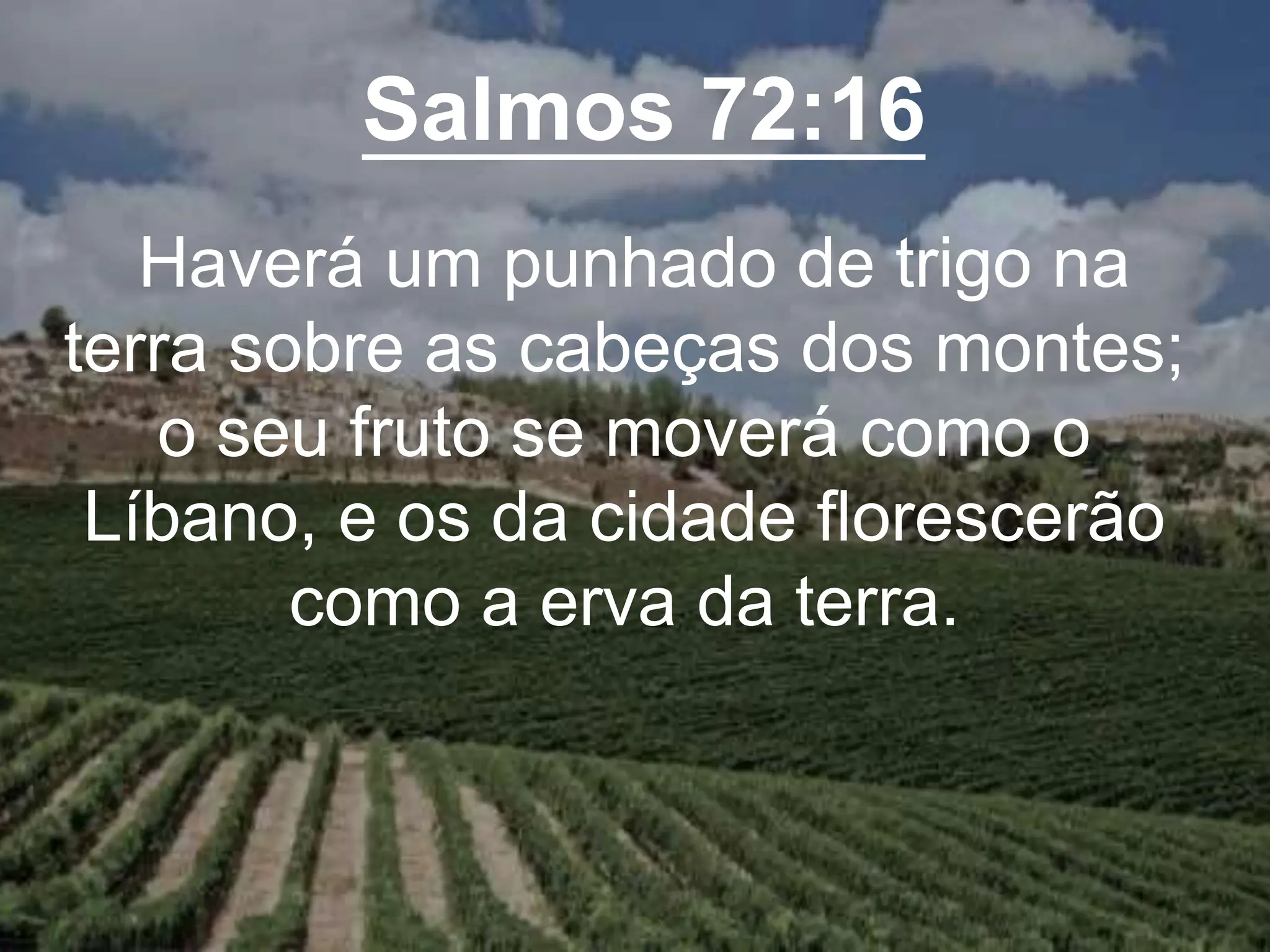 Salmos 72:16
Haverá um punhado de trigo na
terra sobre as cabeças dos montes;
o seu fruto se moverá como o
Líbano, e os da cidade florescerão
como a erva da terra.
 
