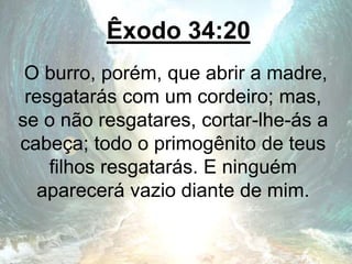 Êxodo 34:20
O burro, porém, que abrir a madre,
resgatarás com um cordeiro; mas,
se o não resgatares, cortar-lhe-ás a
cabeça; todo o primogênito de teus
filhos resgatarás. E ninguém
aparecerá vazio diante de mim.
 