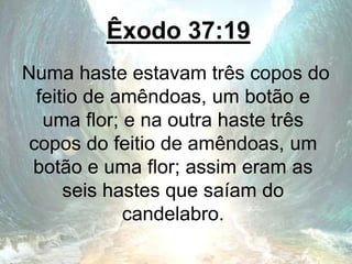Êxodo 37:19
Numa haste estavam três copos do
feitio de amêndoas, um botão e
uma flor; e na outra haste três
copos do feitio de amêndoas, um
botão e uma flor; assim eram as
seis hastes que saíam do
candelabro.
 