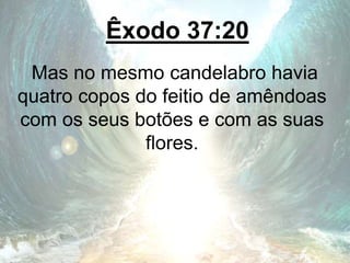 Êxodo 37:20
Mas no mesmo candelabro havia
quatro copos do feitio de amêndoas
com os seus botões e com as suas
flores.
 