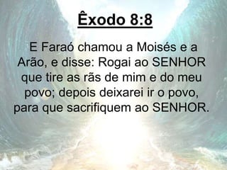 Êxodo 8:8
E Faraó chamou a Moisés e a
Arão, e disse: Rogai ao SENHOR
que tire as rãs de mim e do meu
povo; depois deixarei ir o povo,
para que sacrifiquem ao SENHOR.
 