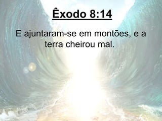 Êxodo 8:14
E ajuntaram-se em montões, e a
terra cheirou mal.
 