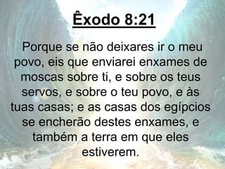 Êxodo 8:21
Porque se não deixares ir o meu
povo, eis que enviarei enxames de
moscas sobre ti, e sobre os teus
servos, e sobre o teu povo, e às
tuas casas; e as casas dos egípcios
se encherão destes enxames, e
também a terra em que eles
estiverem.
 