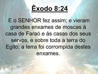 Êxodo 8:24
E o SENHOR fez assim; e vieram
grandes enxames de moscas à
casa de Faraó e às casas dos seus
servos, e sobre toda a terra do
Egito; a terra foi corrompida destes
enxames.
 