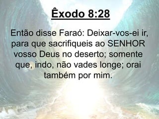 Êxodo 8:28
Então disse Faraó: Deixar-vos-ei ir,
para que sacrifiqueis ao SENHOR
vosso Deus no deserto; somente
que, indo, não vades longe; orai
também por mim.
 