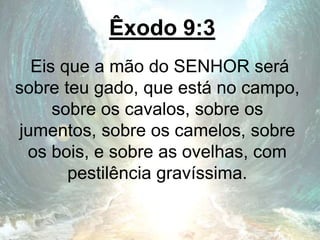 Êxodo 9:3
Eis que a mão do SENHOR será
sobre teu gado, que está no campo,
sobre os cavalos, sobre os
jumentos, sobre os camelos, sobre
os bois, e sobre as ovelhas, com
pestilência gravíssima.
 