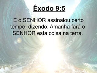 Êxodo 9:5
E o SENHOR assinalou certo
tempo, dizendo: Amanhã fará o
SENHOR esta coisa na terra.
 