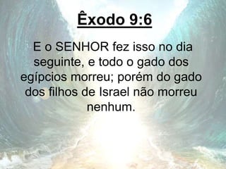 Êxodo 9:6
E o SENHOR fez isso no dia
seguinte, e todo o gado dos
egípcios morreu; porém do gado
dos filhos de Israel não morreu
nenhum.
 