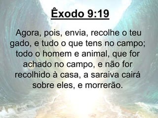 Êxodo 9:19
Agora, pois, envia, recolhe o teu
gado, e tudo o que tens no campo;
todo o homem e animal, que for
achado no campo, e não for
recolhido à casa, a saraiva cairá
sobre eles, e morrerão.
 
