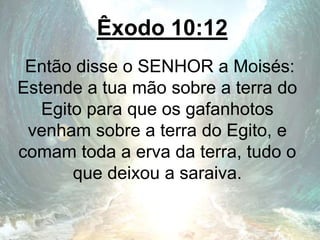 Êxodo 10:12
Então disse o SENHOR a Moisés:
Estende a tua mão sobre a terra do
Egito para que os gafanhotos
venham sobre a terra do Egito, e
comam toda a erva da terra, tudo o
que deixou a saraiva.
 