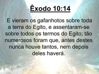 Êxodo 10:14
E vieram os gafanhotos sobre toda
a terra do Egito, e assentaram-se
sobre todos os termos do Egito; tão
numerosos foram que, antes destes
nunca houve tantos, nem depois
deles haverá.
 