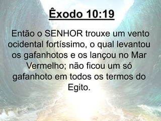 Êxodo 10:19
Então o SENHOR trouxe um vento
ocidental fortíssimo, o qual levantou
os gafanhotos e os lançou no Mar
Vermelho; não ficou um só
gafanhoto em todos os termos do
Egito.
 