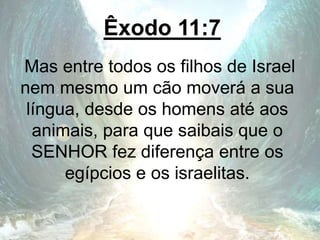 Êxodo 11:7
Mas entre todos os filhos de Israel
nem mesmo um cão moverá a sua
língua, desde os homens até aos
animais, para que saibais que o
SENHOR fez diferença entre os
egípcios e os israelitas.
 