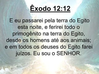Êxodo 12:12
E eu passarei pela terra do Egito
esta noite, e ferirei todo o
primogênito na terra do Egito,
desde os homens até aos animais;
e em todos os deuses do Egito farei
juízos. Eu sou o SENHOR.
 