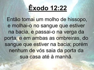 Êxodo 12:22
Então tomai um molho de hissopo,
e molhai-o no sangue que estiver
na bacia, e passai-o na verga da
porta, e em ambas as ombreiras, do
sangue que estiver na bacia; porém
nenhum de vós saia da porta da
sua casa até à manhã.
 