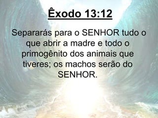 Êxodo 13:12
Separarás para o SENHOR tudo o
que abrir a madre e todo o
primogênito dos animais que
tiveres; os machos serão do
SENHOR.
 