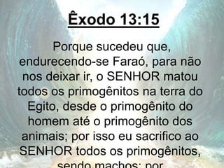 Êxodo 13:15
Porque sucedeu que,
endurecendo-se Faraó, para não
nos deixar ir, o SENHOR matou
todos os primogênitos na terra do
Egito, desde o primogênito do
homem até o primogênito dos
animais; por isso eu sacrifico ao
SENHOR todos os primogênitos,
 