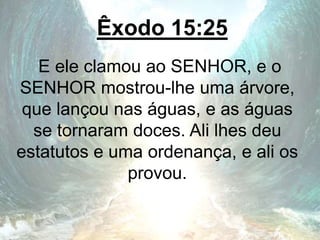 Êxodo 15:25
E ele clamou ao SENHOR, e o
SENHOR mostrou-lhe uma árvore,
que lançou nas águas, e as águas
se tornaram doces. Ali lhes deu
estatutos e uma ordenança, e ali os
provou.
 