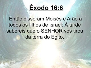Êxodo 16:6
Então disseram Moisés e Arão a
todos os filhos de Israel: À tarde
sabereis que o SENHOR vos tirou
da terra do Egito,
 