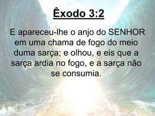 Êxodo 3:2
E apareceu-lhe o anjo do SENHOR
em uma chama de fogo do meio
duma sarça; e olhou, e eis que a
sarça ardia no fogo, e a sarça não
se consumia.
 