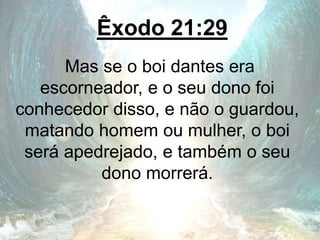 Êxodo 21:29
Mas se o boi dantes era
escorneador, e o seu dono foi
conhecedor disso, e não o guardou,
matando homem ou mulher, o boi
será apedrejado, e também o seu
dono morrerá.
 