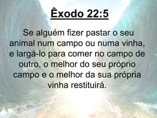 Êxodo 22:5
Se alguém fizer pastar o seu
animal num campo ou numa vinha,
e largá-lo para comer no campo de
outro, o melhor do seu próprio
campo e o melhor da sua própria
vinha restituirá.
 