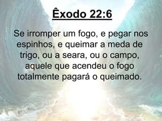 Êxodo 22:6
Se irromper um fogo, e pegar nos
espinhos, e queimar a meda de
trigo, ou a seara, ou o campo,
aquele que acendeu o fogo
totalmente pagará o queimado.
 