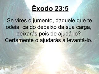 Êxodo 23:5
Se vires o jumento, daquele que te
odeia, caído debaixo da sua carga,
deixarás pois de ajudá-lo?
Certamente o ajudarás a levantá-lo.
 