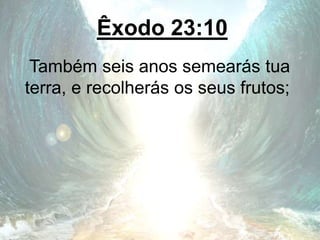 Êxodo 23:10
Também seis anos semearás tua
terra, e recolherás os seus frutos;
 