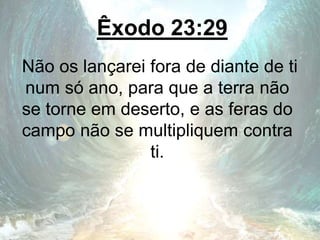 Êxodo 23:29
Não os lançarei fora de diante de ti
num só ano, para que a terra não
se torne em deserto, e as feras do
campo não se multipliquem contra
ti.
 