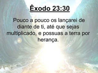 Êxodo 23:30
Pouco a pouco os lançarei de
diante de ti, até que sejas
multiplicado, e possuas a terra por
herança.
 