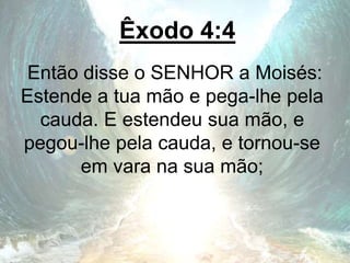 Êxodo 4:4
Então disse o SENHOR a Moisés:
Estende a tua mão e pega-lhe pela
cauda. E estendeu sua mão, e
pegou-lhe pela cauda, e tornou-se
em vara na sua mão;
 