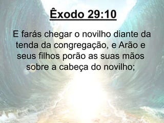 Êxodo 29:10
E farás chegar o novilho diante da
tenda da congregação, e Arão e
seus filhos porão as suas mãos
sobre a cabeça do novilho;
 