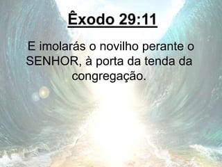 Êxodo 29:11
E imolarás o novilho perante o
SENHOR, à porta da tenda da
congregação.
 